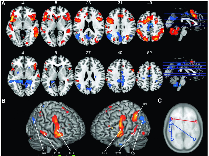 Imagen: Plos One